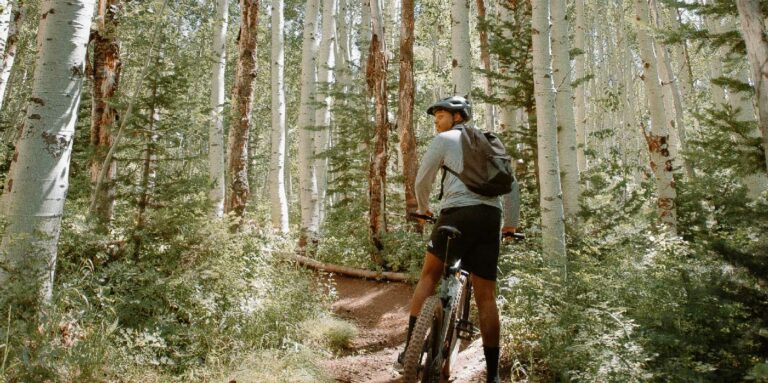 Cycling in the forest